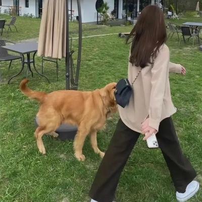哈勃时代